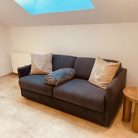 Appartements Wille *