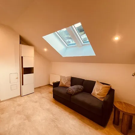 Appartements Wille *